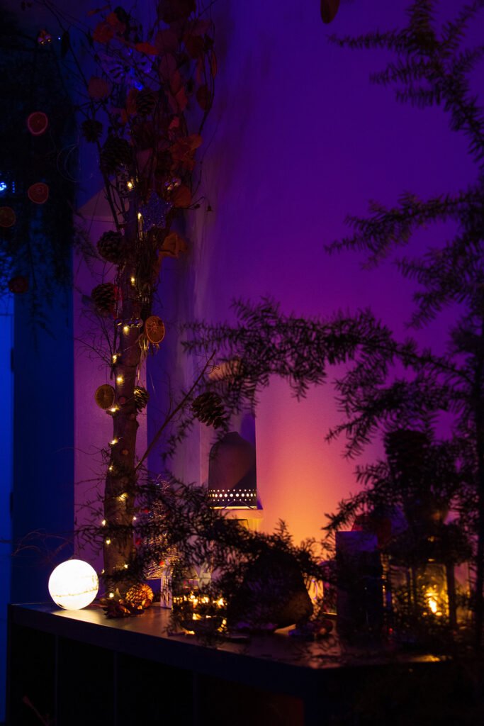 Christmass Forest A 00009