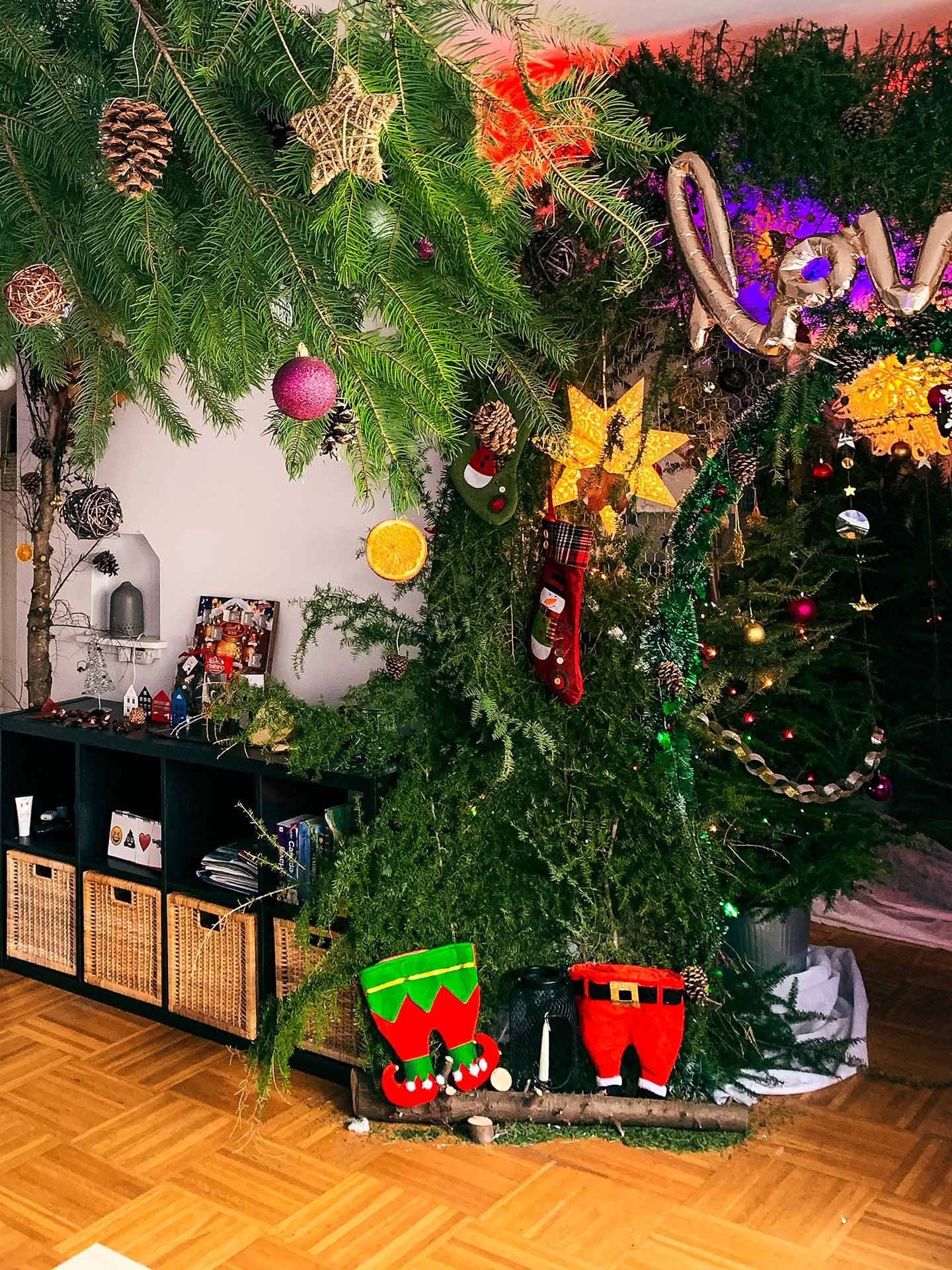 Christmass_Forest_A_00018