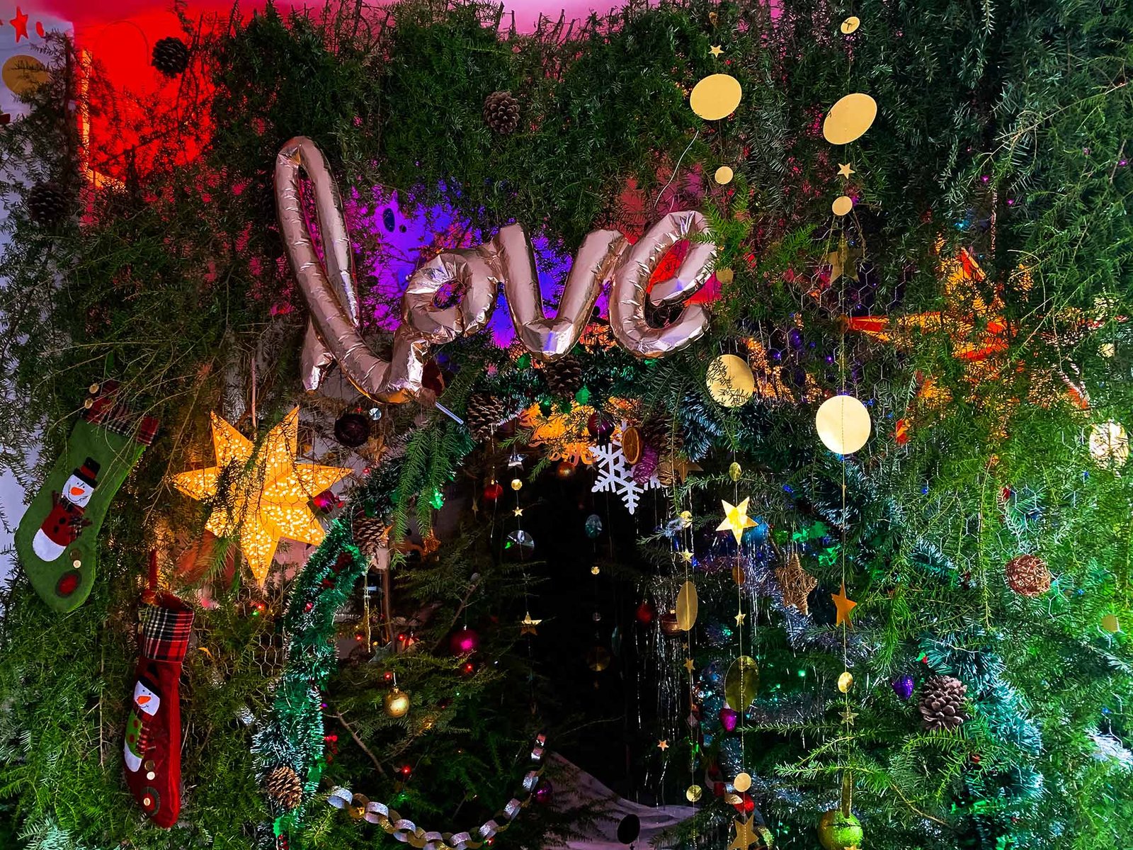 Christmass_Forest_A_00023