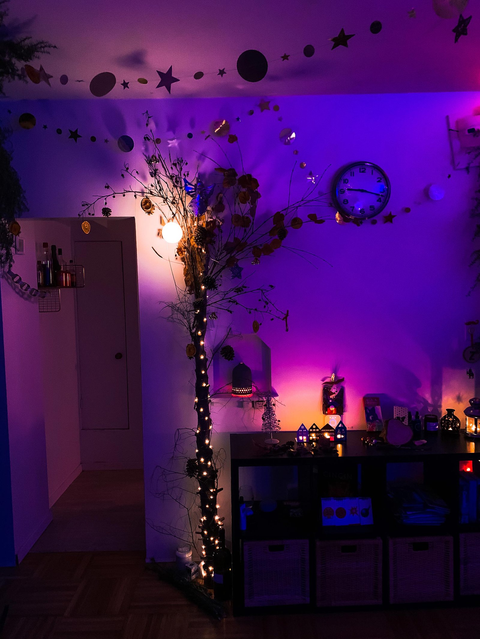 Christmass_Forest_A_00025