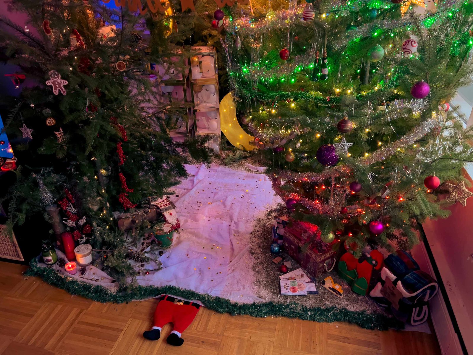 Christmass_Forest_B_00001