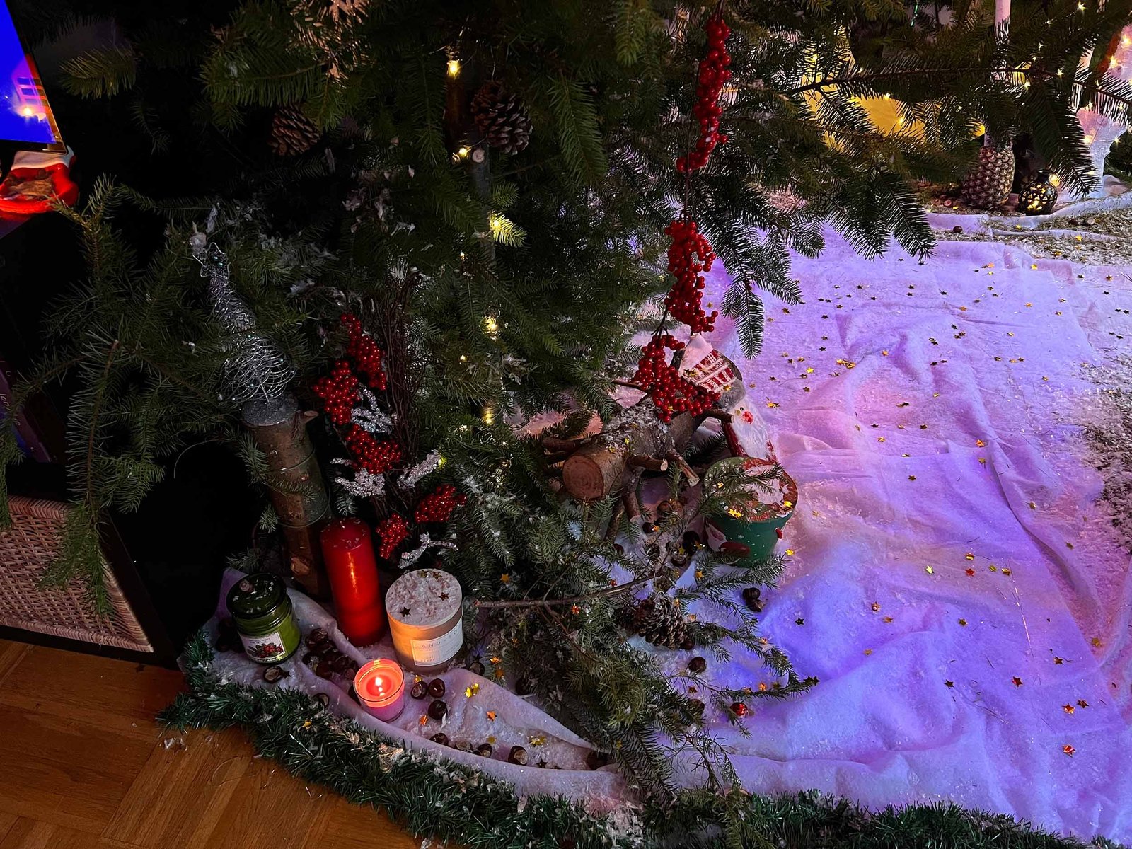 Christmass_Forest_B_00004