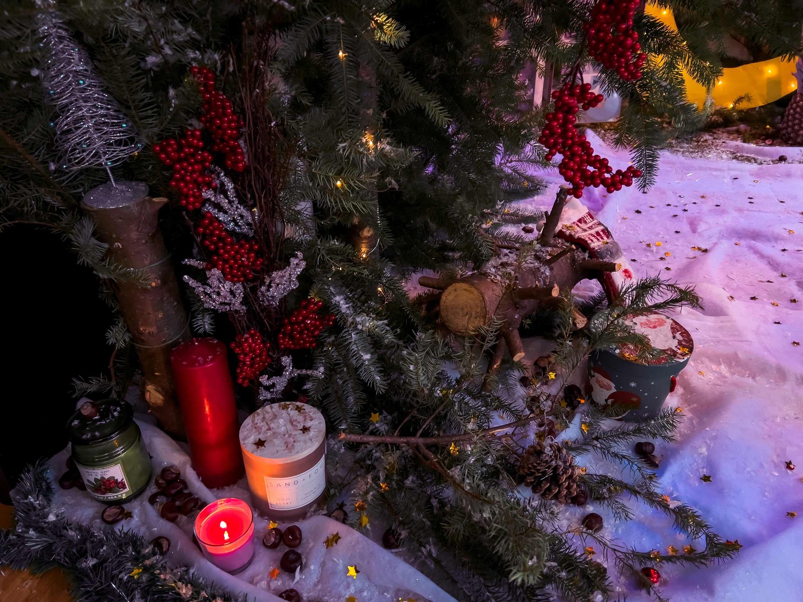 Christmass_Forest_B_00007