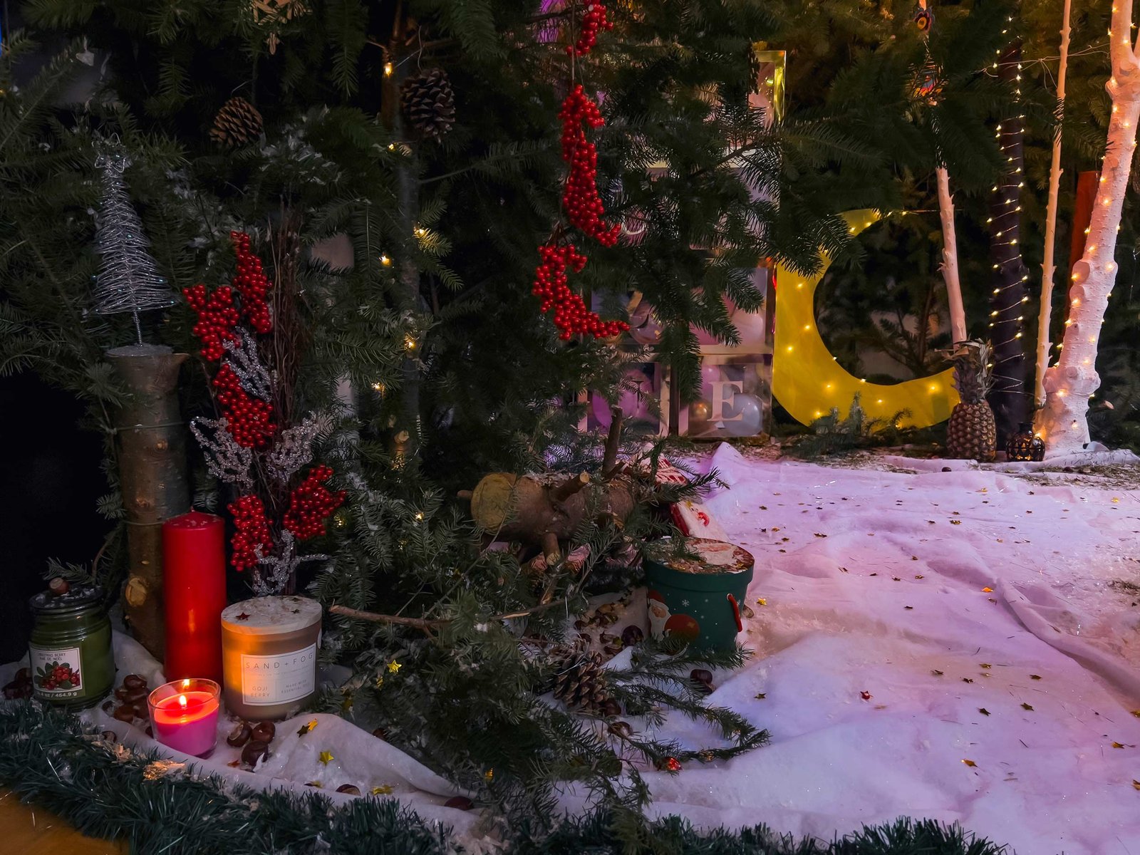 Christmass_Forest_B_00008