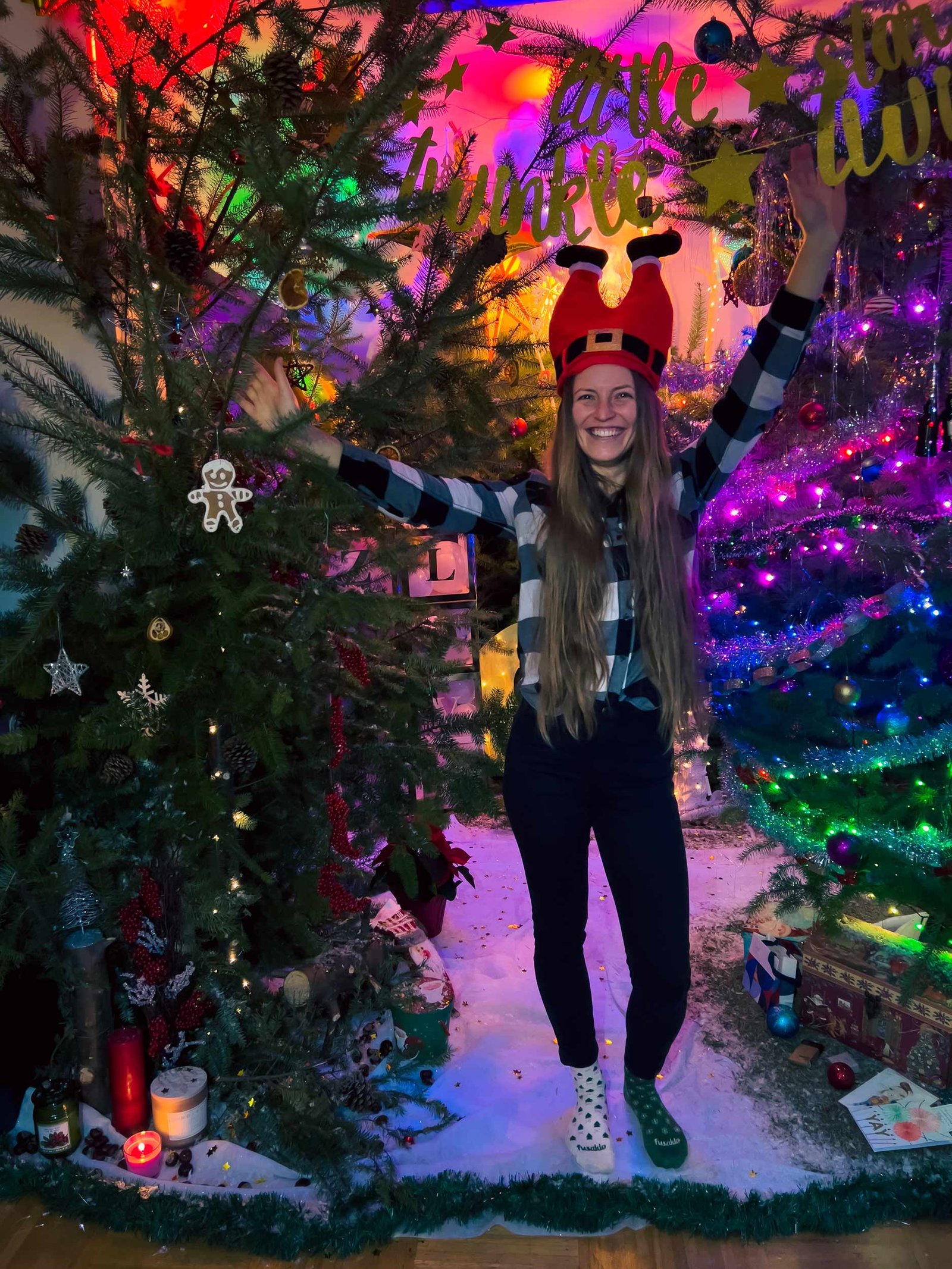 Christmass_Forest_B_00010