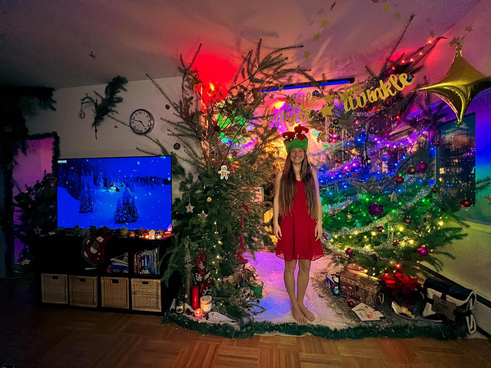 Christmass_Forest_B_00012