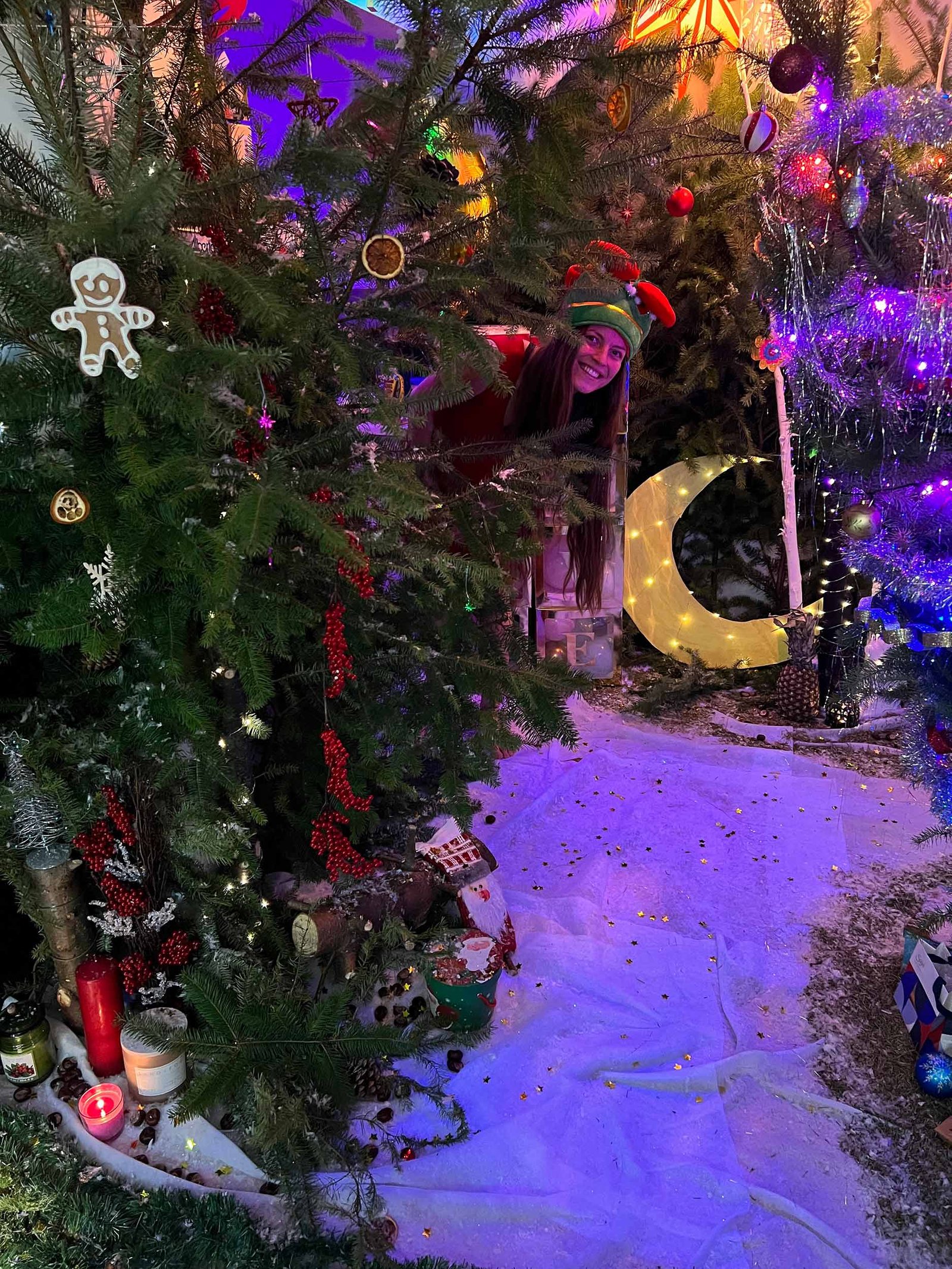 Christmass_Forest_B_00017