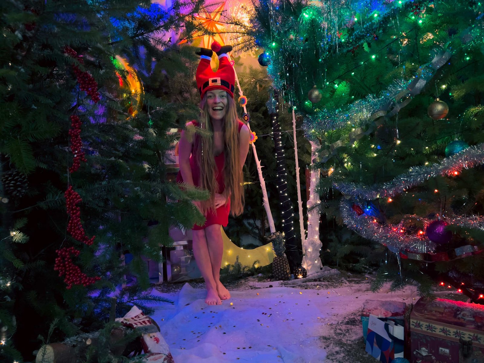 Christmass_Forest_B_00018