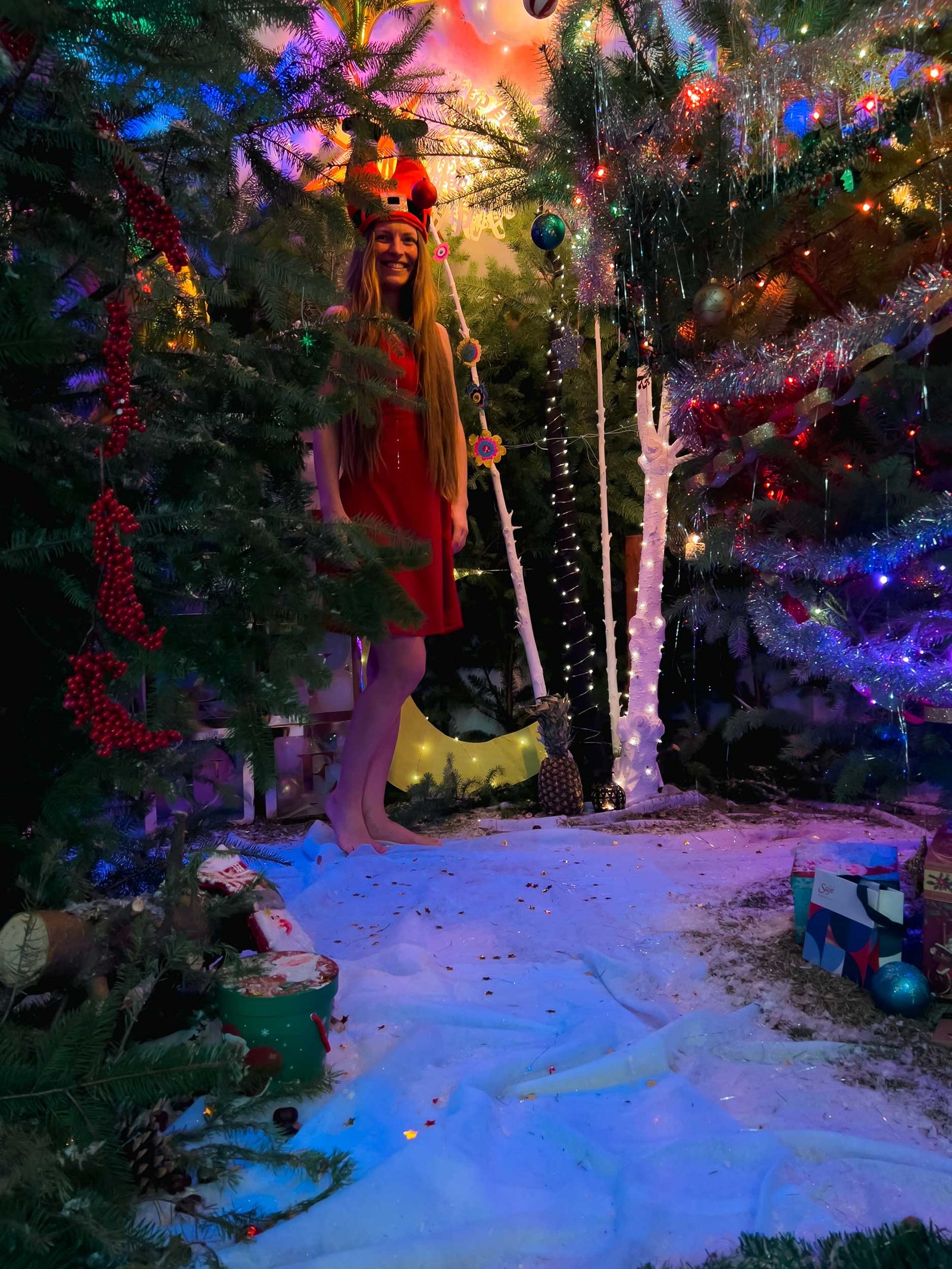 Christmass_Forest_B_00019