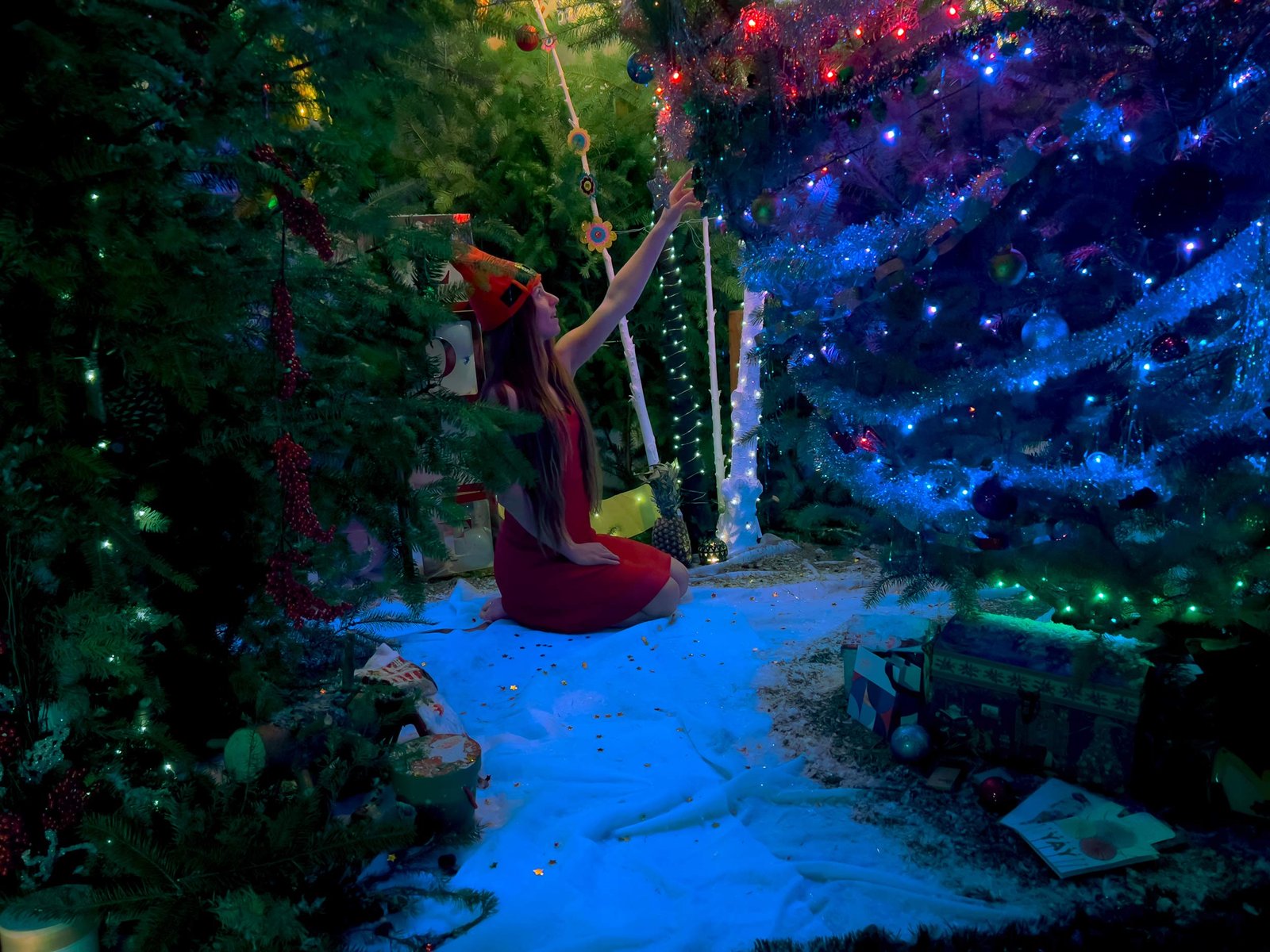 Christmass_Forest_B_00022