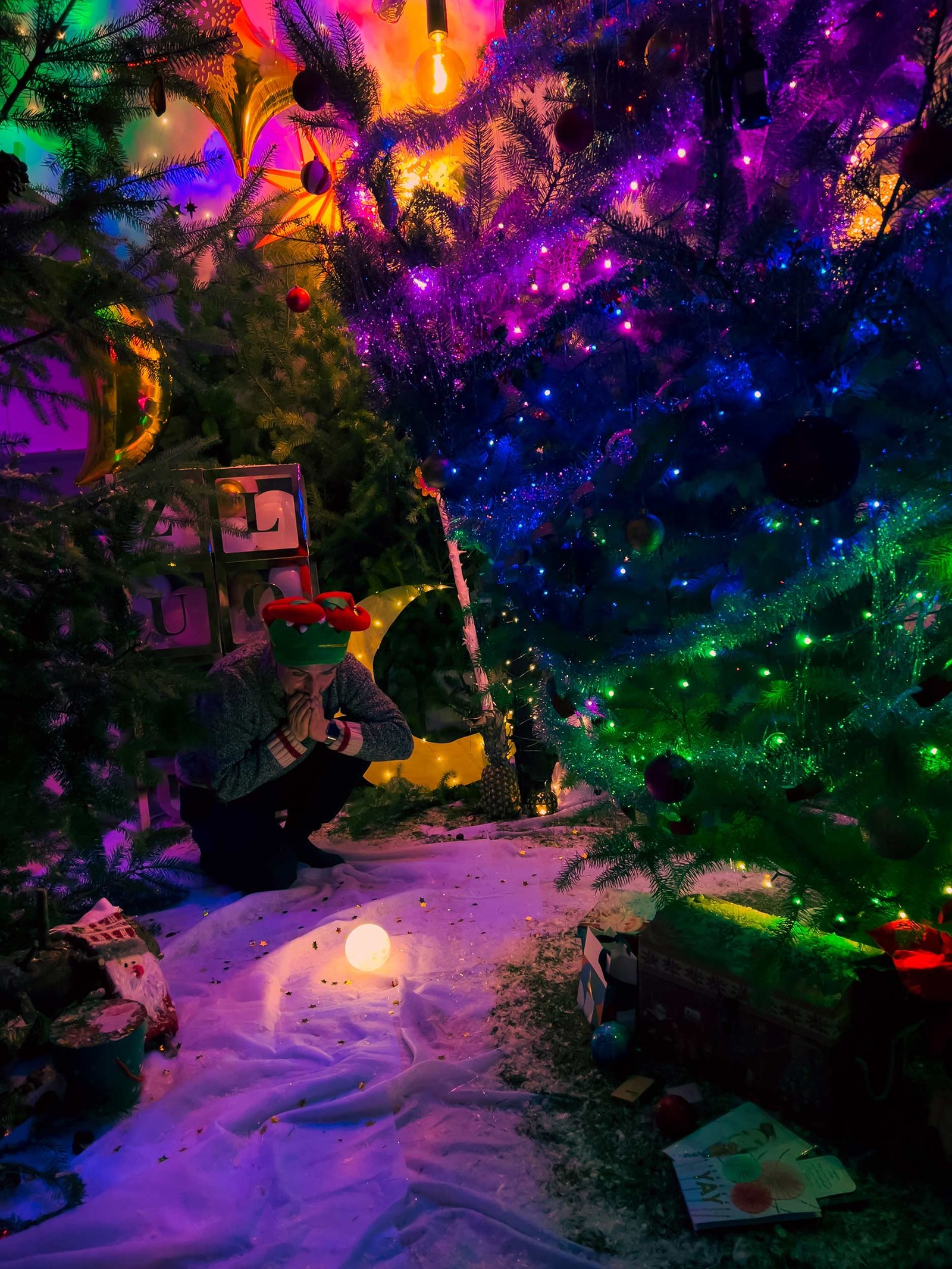 Christmass_Forest_B_00024