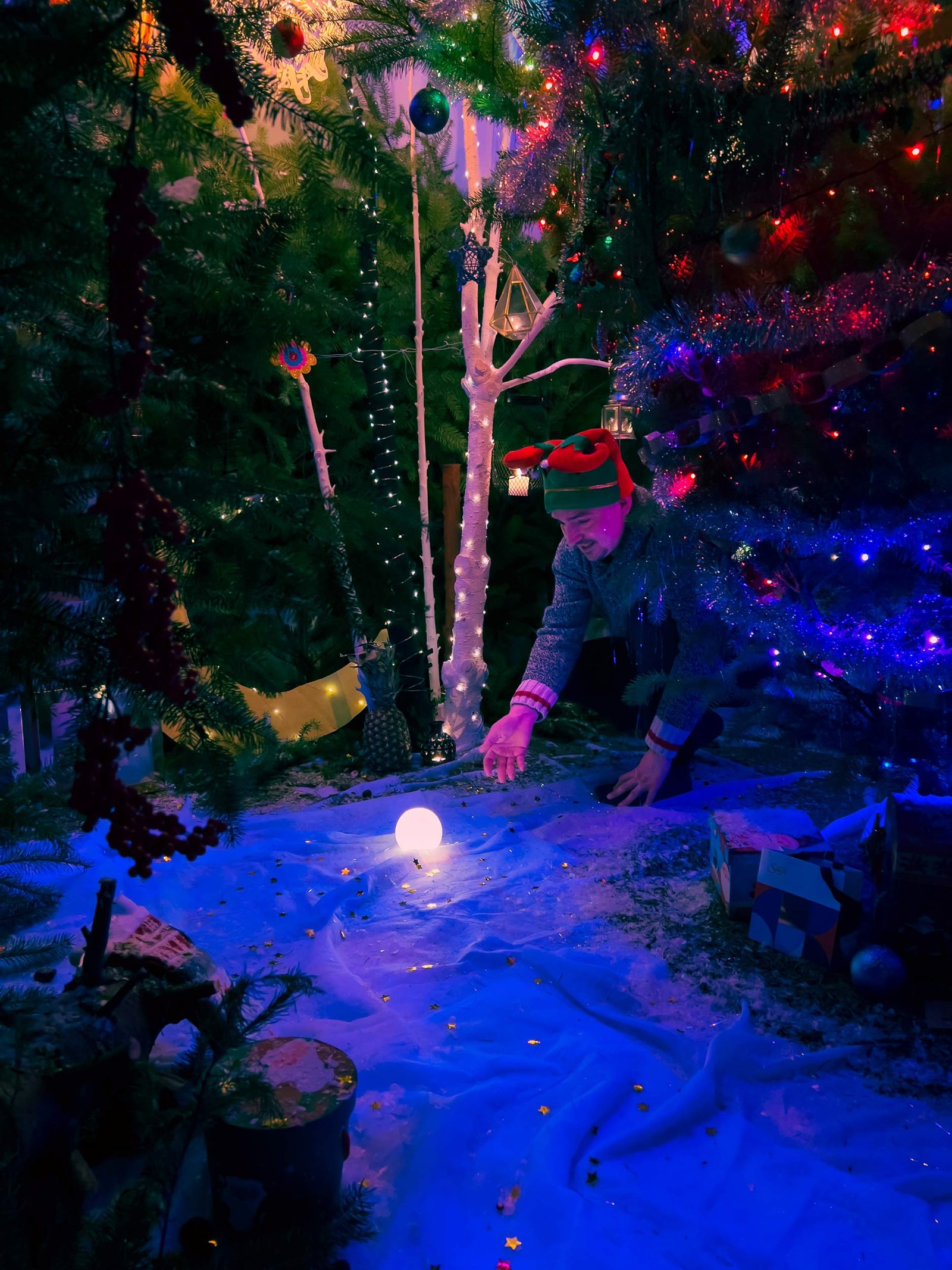 Christmass_Forest_B_00025