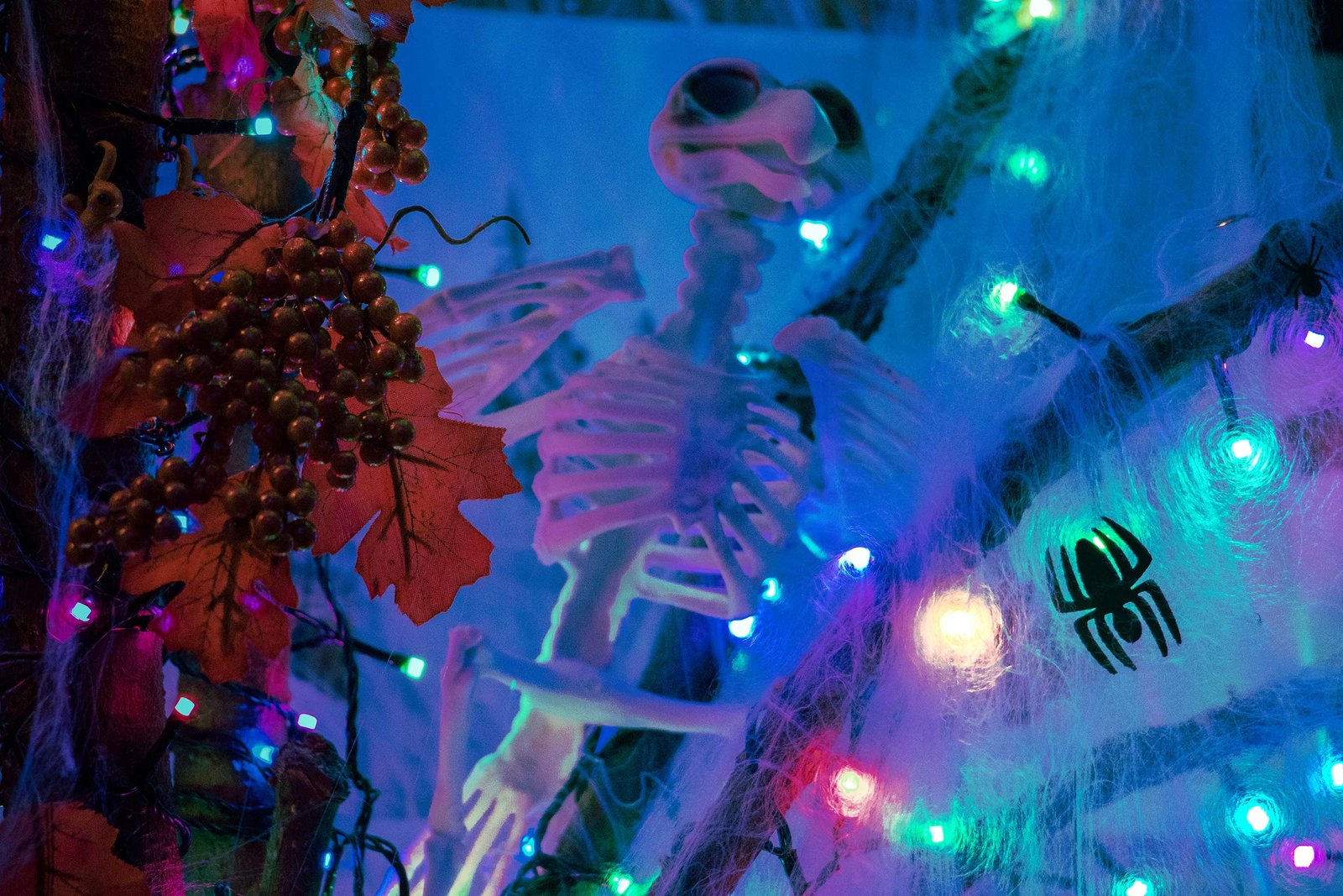 Halloween_Addons019