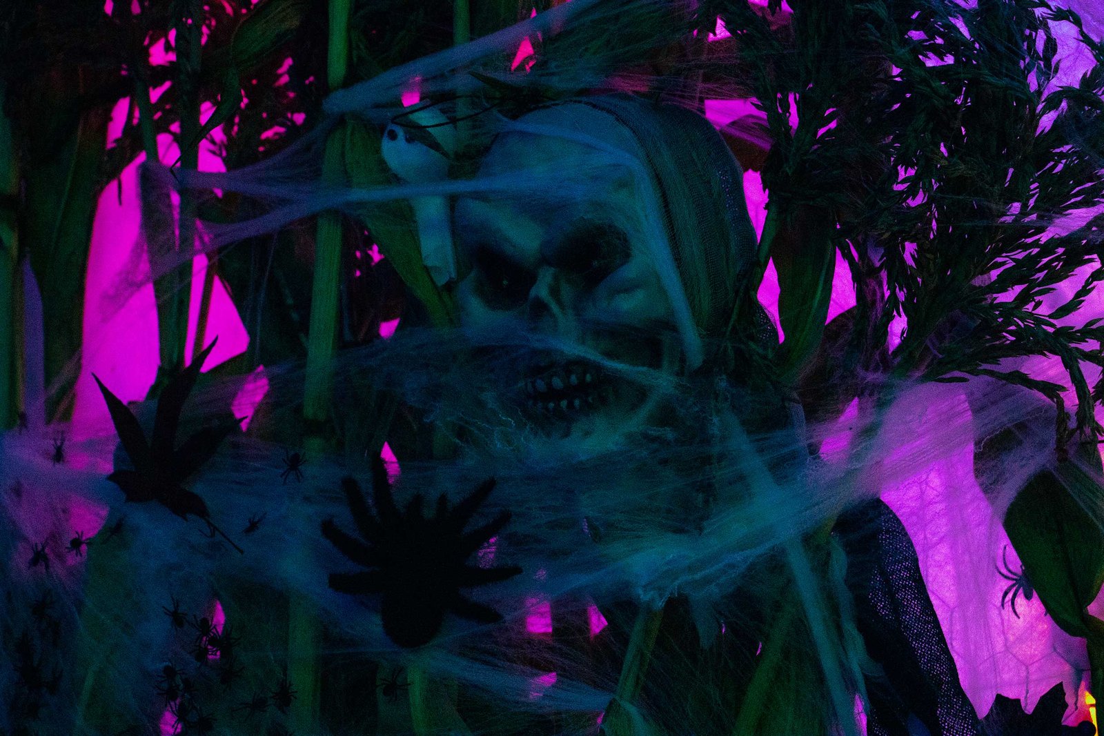 Halloween_Addons023
